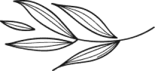 leaves Image